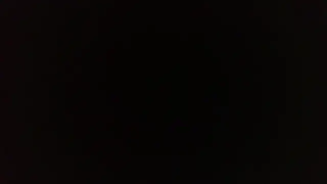 Terraelowen online show from 9, 4, 2026