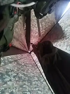 Alabestia12 online show from 5, 11, 2025