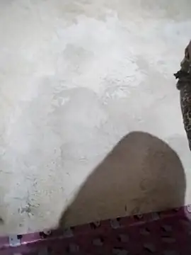 big booty15 online show from 5, 10, 2025