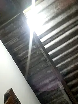 Snapshot of Madison_1 chatting on 6, 11, 2025 Madison 1 online show from 6, 11, 2025