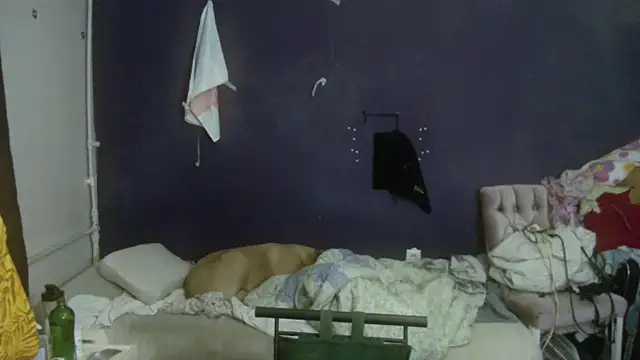 turkishTransEfsun online show from 19, 3, 2026