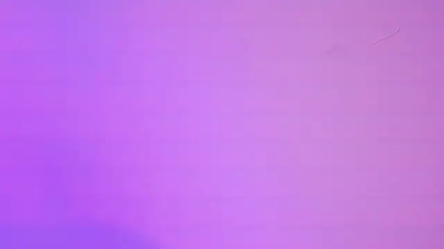 Megan Luxe online show from 11, 2, 2026