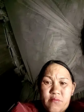 MaiHoa69 online show from 11, 3, 2026