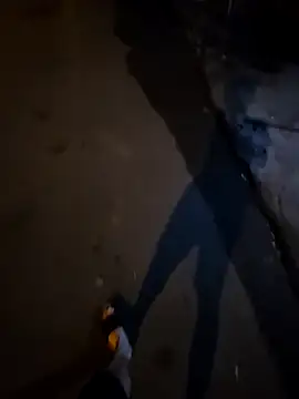 Kunbet online show from 15, 4, 2026