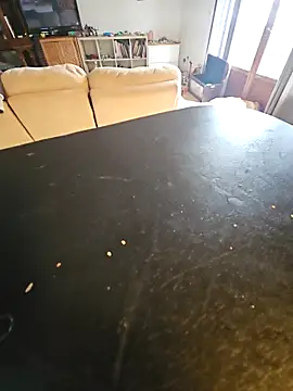 Stingles online show from 14, 3, 2026