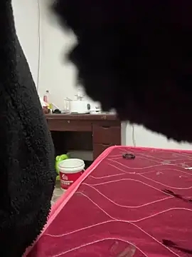 crhong666 online show from 16, 12, 2025