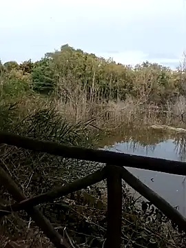 pegaso369 online show from 20, 10, 2025