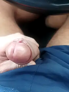 pegaso369 online show from 14, 1, 2026