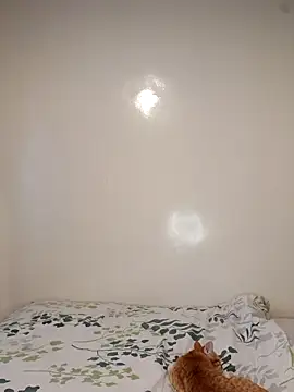 Nedambale online show from 3, 2, 2026