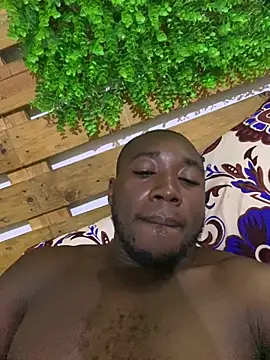 Phonx07 online show from 15, 1, 2026