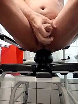 toywood online show from 2, 10, 2025