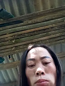 CoMay003 online show from 15, 11, 2025