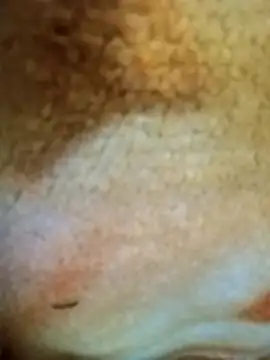 HOT-MUNDA online show from 17, 12, 2025