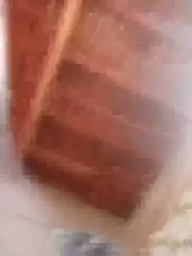 HOT-MUNDA online show from 9, 2, 2026