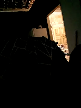 Rafael-01 online show from 24, 9, 2025