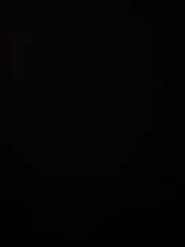 thequestiontrad online show from 14, 11, 2025