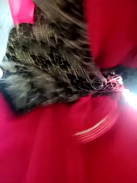 Juhi chawla online show from 4, 12, 2025