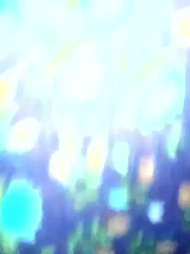 Juhi chawla online show from 20, 12, 2025