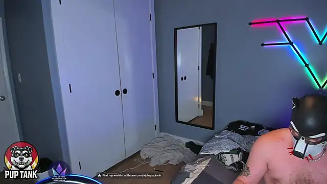 Snapshot of puptank chatting on 23, 11, 2025 puptank online show from 23, 11, 2025