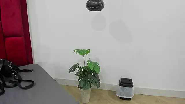 Snapshot of Mollyxketa1_ chatting on 2, 10, 2025 Mollyxketa1 online show from 2, 10, 2025