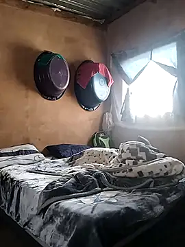 shebeshid online show from 12, 9, 2025