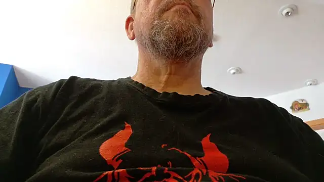 circus bearxh online show from 18, 6, 2026