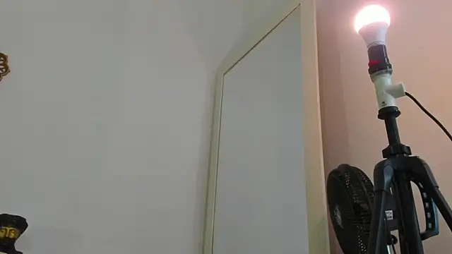  Tarekk  online show from 15, 10, 2025