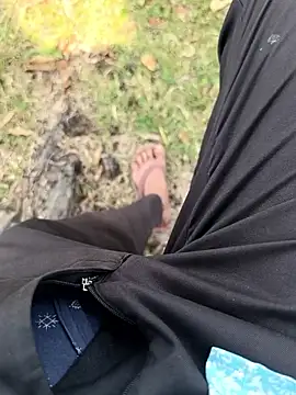 rajdehli online show from 8, 4, 2026