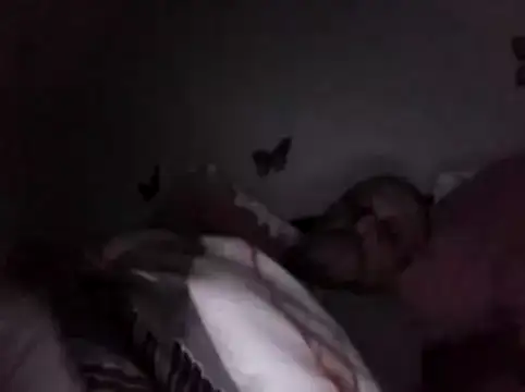 Hisnimin online show from 18, 2, 2026