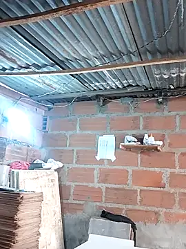 hoteder online show from 17, 12, 2025