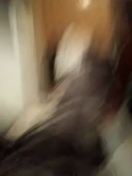 Empi19cm online show from 24, 10, 2025