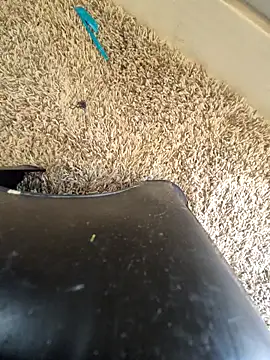 EsDezz88 online show from 22, 3, 2026