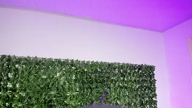 Snapshot of BellaRoux1 chatting on 27, 2, 2026 BellaRoux1 online show from 27, 2, 2026