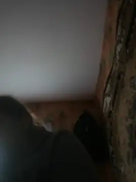 Romashka33011 online show from 31, 3, 2026