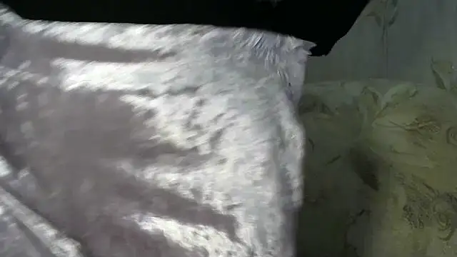 LedyNika online show from 16, 3, 2026