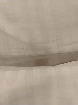 Yoshi rexy online show from 15, 10, 2025