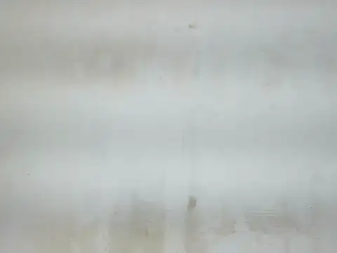 Cute mikii online show from 5, 12, 2025