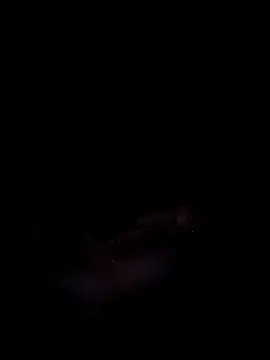 Snapshot of Harini_Gautam chatting on 27, 9, 2025 Harini Gautam online show from 27, 9, 2025