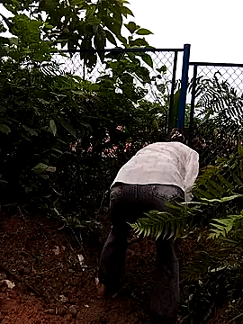 linda bae00 online show from 27, 9, 2025