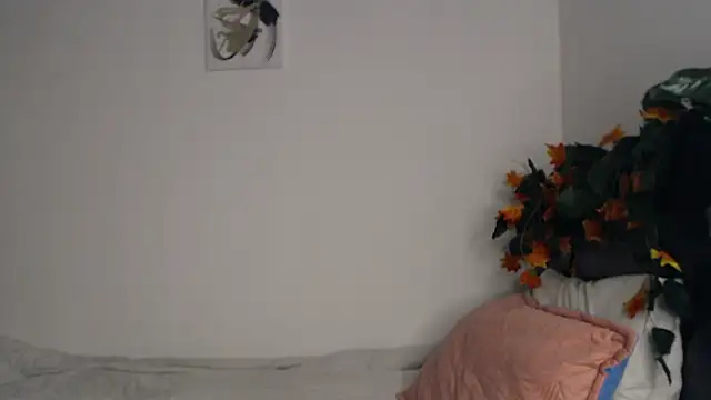   abrill   online show from 17, 10, 2025