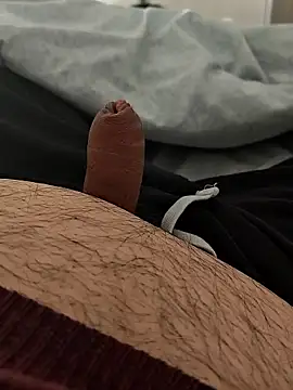 t-dog26 online show from 11, 1, 2026