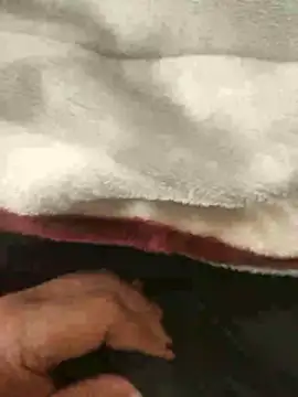 mM0140 online show from 13, 1, 2026