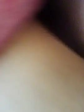 Hl1979 online show from 16, 3, 2026