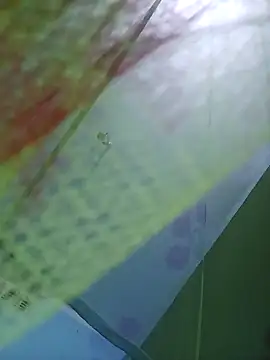 Apkisona8 online show from 24, 9, 2025