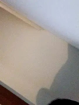 Snapshot of Andrez5041 chatting on 14, 10, 2025 Andrez5041 online show from 14, 10, 2025