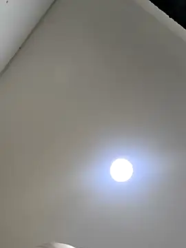 butterfly777  online show from 26, 3, 2026