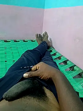 dolphiinn online show from 4, 10, 2025