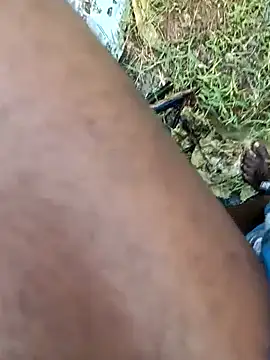 dolphiinn online show from 5, 2, 2026