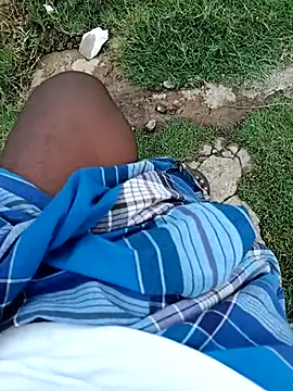 dolphiinn online show from 23, 3, 2026