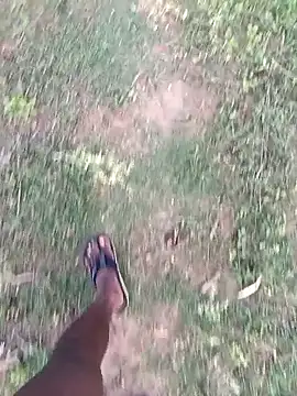 dolphiinn online show from 27, 3, 2026